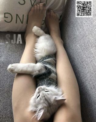 韩国中学生被欺负事件对校园的影响_1080免费观看电视剧
