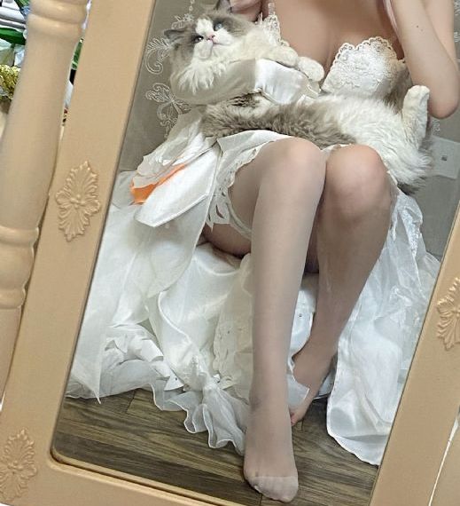 精品视频免费一区_HD全集免费观看